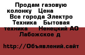 Продам газовую колонку › Цена ­ 3 000 - Все города Электро-Техника » Бытовая техника   . Ненецкий АО,Лабожское д.